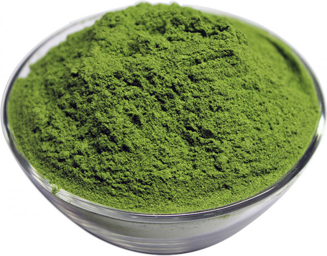 Wholesale Organic Moringa Powder | Nuts in Bulk