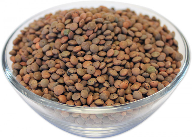 Wholesale Brown Lentils | Nuts in Bulk