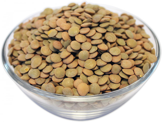 Wholesale Green Lentils | Nuts in Bulk