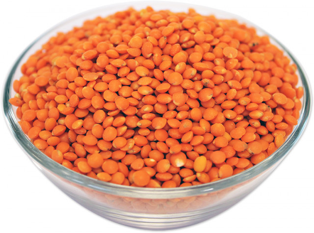 Wholesale Red Football Lentils | Nuts in Bulk