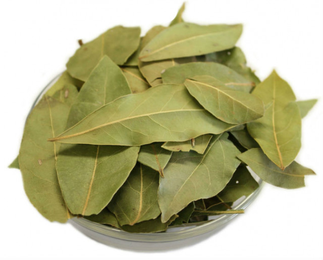 Wholesale Dried Bay Laurel Leaves | Nuts in Bulk