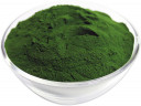 Wholesale Organic Green Blend Powder | Nuts in Bulk