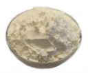 Wholesale Corn Starch Flour | Nuts in Bulk